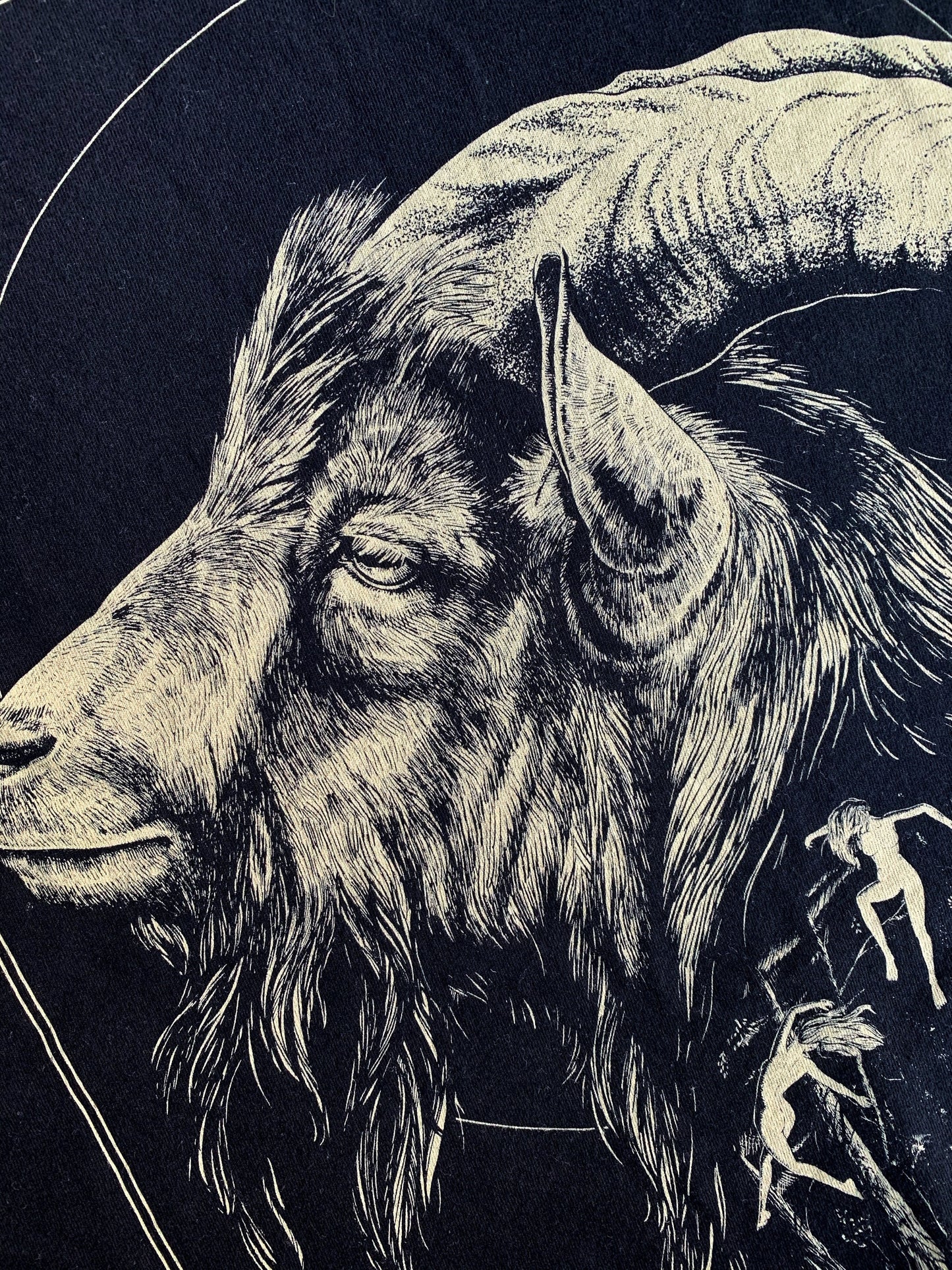 The VVitch | Black Phillip - T-shirt