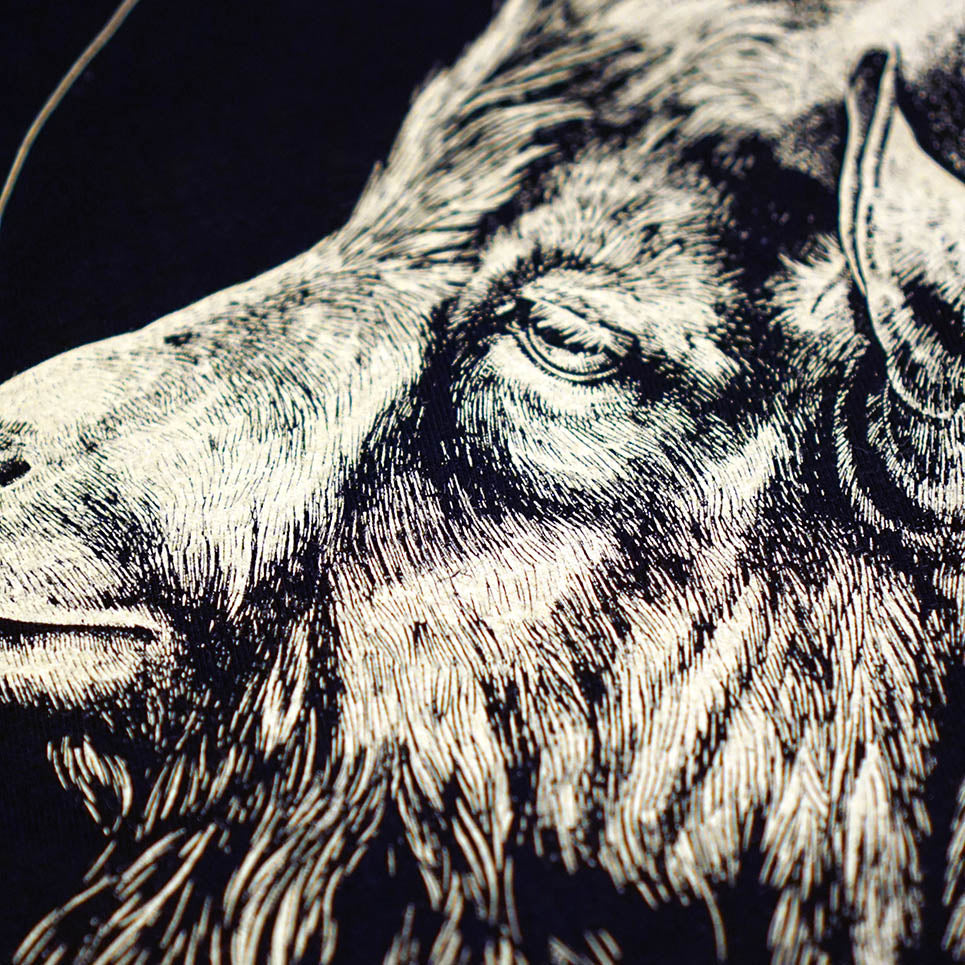 The VVitch | Black Phillip - T-shirt